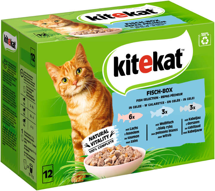 Kitekat Katzen-Nassfutter Fisch-Box in Gelee 12x85g